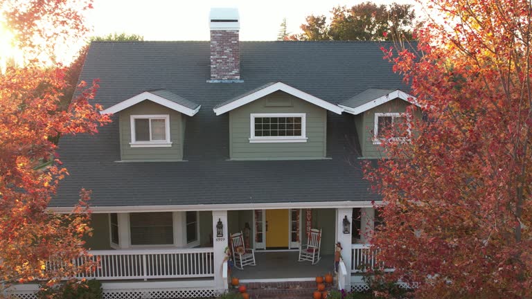 Best Chimney Flashing Repair  in Riverdale Park, MD