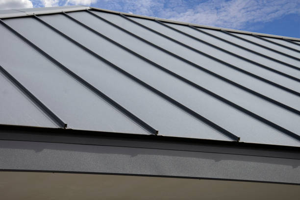 Best Roof Ventilation Installation  in Riverdale Park, MD